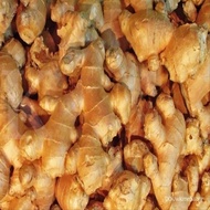 5 BENIH-BIJI JAHE EMPRIT BERTUNAS