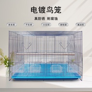 Sangkar burung untuk burung lovebird, sangkar burung berlapis zink, sangkar burung logam khas untuk 