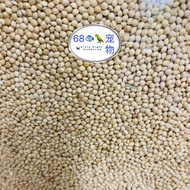 Bird Food / Makanan Burung / White Pellet / Kambu Putih - kambu  Kuning 20kg