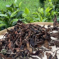 Yunnan Gaba White Tea Awesome