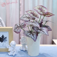 [READY STOCK] Artificial Green Plant Leaves, Palm Plant 12 Heads Artificial Begonia Plant, Simulatio