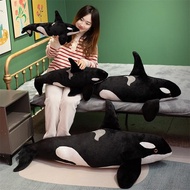 Simulation Killer Whale Plush Toy Haichang Ocean Park Oversized Killer Whale Doll Whale Plush Doll S