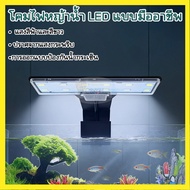Waterproof IP44 Aquarium Edge Clamp LED Light Natural Simulation