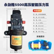 熱銷【憶時光】農用電動噴霧器水泵12V電機打藥機配件馬達大功率自吸泵