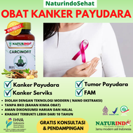 Obat Kanker Payudara Ampuh Obat Kanker Serviks Ampuh Obat Kanker Dan Tumor Ganas Obat Kanker Paling