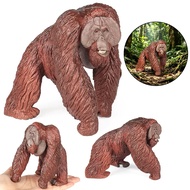 Simulation Large Red Ape Animal Model Monkey Solid Borneo Baboon Zoo Cognitive Children Gift Science