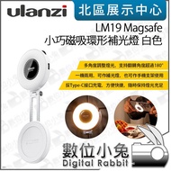 Digital Bunny [Ulanzi L015 LM19 Magsafe Small Magnetic Ring Fill Light Black White] Type-C