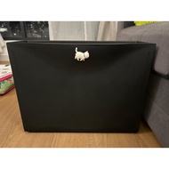 TRONES Shoe Cabinet/Storage With Handle, 52x18x39 cm