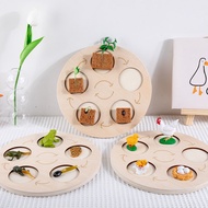 Montessori Teaching Aids Animal and Plant Growth Process Puzzle Butterfly Frog Hen Growth Cycle Plate Life Cycle/Montessori Life Cycle Puzzle Board Kit Toddler Puzzle Development Toys