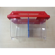 Betta Fighting Plastic Fish Tank