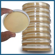 ◈ ▨ ↂ Mueller-Hinton Agar Sterile Media MHA Petri Dish - 5pc Standard Mueller Hinton Agar (MHA)