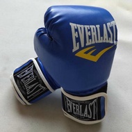 Everlast Pro Training Boxing Gloves