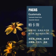 Hademala Hades Wado Manor Pacas Coffee Beans 96 Hours Anaerobic Sun-dried Hand-made Single Product