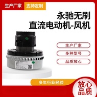 Hand Push Vacuum Brushless Dry Wet Vacuum Cleaner 36V Floor Washer Motor Motor 24V/Water Absorption 