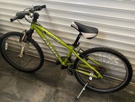 GIANT 公路單車 電動單車 單人 三輪單車 適合任何 成人 家庭 老人 工人姐姐  帶寵物 去街 貓貓狗狗 返工 返學 買餸 接放學 不是 電動滑板車  three wheels single f