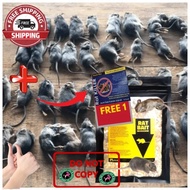 Ubat Tikus rtv Import / Rodent Bait / Mouse Bait/ Umpan Tikus