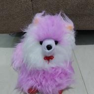 boneka kucing anggora