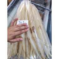 Dried Eel Fish Maw 麻魚桐花胶魚鰾 1kg mayu Ma Yu Biao Yu Piao fish maws fishmaw yubiao yupiao