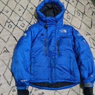 tnf summit series 800 down jacket