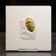 三葉蟲化石浮雕燙金萬用卡