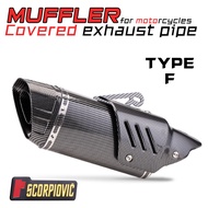 Motorcycle exhaust pipe modified GSX250 Spring Breeze 250SR Z900 NINJA400 oblique triangle exhaust p