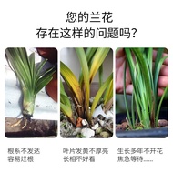 Flower Helper Orchid Special Type Slow Release Fertilizer500gOrchid Fertilizer Pot Clivia Phalaenopsis Orchid Plant Gene