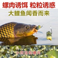 小藥螺肉青魚餌料黑坑水庫草魚鯉魚窩料螺絲肉螺螄肉顆粒野釣魚餌