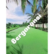 AZOLLA 1 KILO MICROPHYLLA AZOLA AZZOLLA ALTERNATIVE LIVESTOCK AND FISH FEED
