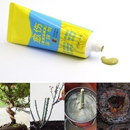 Tree Wound Bonsai Cut Paste Smear Agent Pruning Compound Sealer with Brush