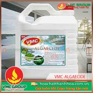 SWIMMING POOL - VMC-ALGAECIDE GROSS KILLER