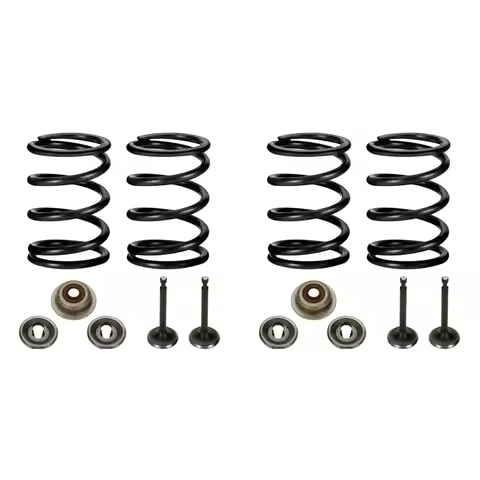 DT72-2X Racing 18Lb Valve Springs Kit For Predator 196Cc 212Cc 224Cc Non Hemi GX160 GX200 6.5HP OHV 