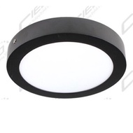 Surface ceiling light (12W)