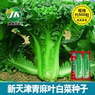 Factory Wholesale Tianjin Green Hemp Leaf Cabbage Seeds Old Variety Green Cabbage Seed Autumn Planting Straight Type