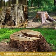 【BBI】-Copper Nails Kit 3.5 Inch Stump Removal SpikesPure Copper Nails Stump Removal Tool for Trees S
