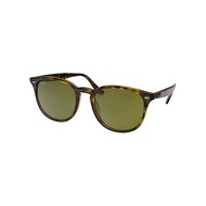 Ray-Ban Sunglasses RAYBAN rb4259f 710/7353 rb4259f Full Fit [Parallel Import Goods]