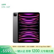 Apple/苹果【教育优惠】iPad Pro 11英寸 2022款(128G WLAN版/M2芯片/MNXD3CH/A)深空灰色