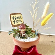 台中多肉組盆 多肉植物 日式枯山水 微景觀系列 火影忍者 我愛羅