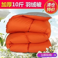 Jin Down Double Quilt Clearance Thickened 8 Quilt Core Single Premium 10695