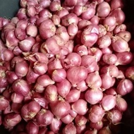 BAWANG MERAH SIAM 1 KILO