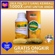 Obat Tulang Keropos Retak Sakit Punggung Osteoporosis Bungkuk Cedera Tulang Patah Tulang Kurang Kals