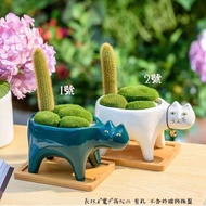 Original European American Ceramics Succulents Flowerpots White Green Cat Tail Cartoon Animal Monkey