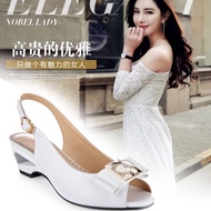 Fashion Woman Heel Shoe(34-41)