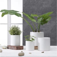 [Floralyst] 11.5cm x 11.5cm x 11.5cm White Ceramic Vase Home Deco Pasu Seramik Pasu Bunga Putih (No 