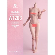 Worldbox AT201 202 AT203 Durable 1/6 Joint Movable Female Body Model Version Fat Leg Version