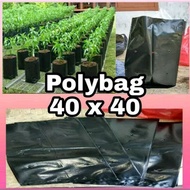 polybag untuk tanaman ukuran 40x40cm berat 1kg / polibek tanaman ukuran 40x40cm berat 1kg