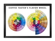 [現貨]彩色裝飾海報 咖啡風味輪  裝飾畫coffee flavor wheel 臥室宿舍客廳牆畫 復古牛皮紙海報咖啡廳
