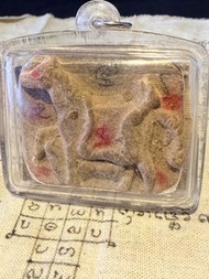 阿贊put 早期馬食能 /