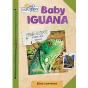 Baby Iguana Ellen Lawrence