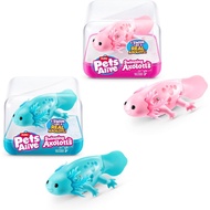 Pets Alive Swimming Robo Axolotl  by ZURU