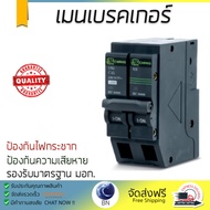 รุ่นขายดี เบรคเกอร์ งานไฟฟ้า เมนเบรคเกอร์ USA 2P 45A ช้าง US2 2P45A สีดำ ตัดไฟ ป้องกันไฟดูด ไฟรั่วอ